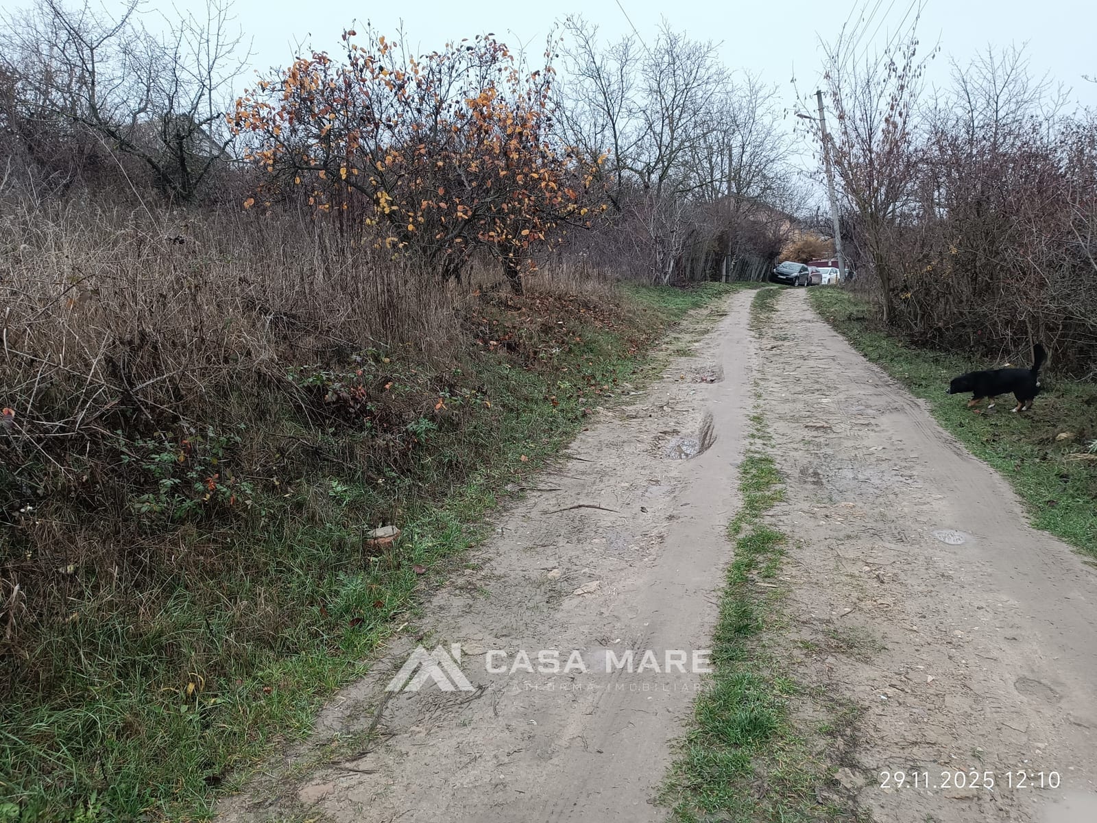 Продажа дачного участка | 6 соток | Бык 4