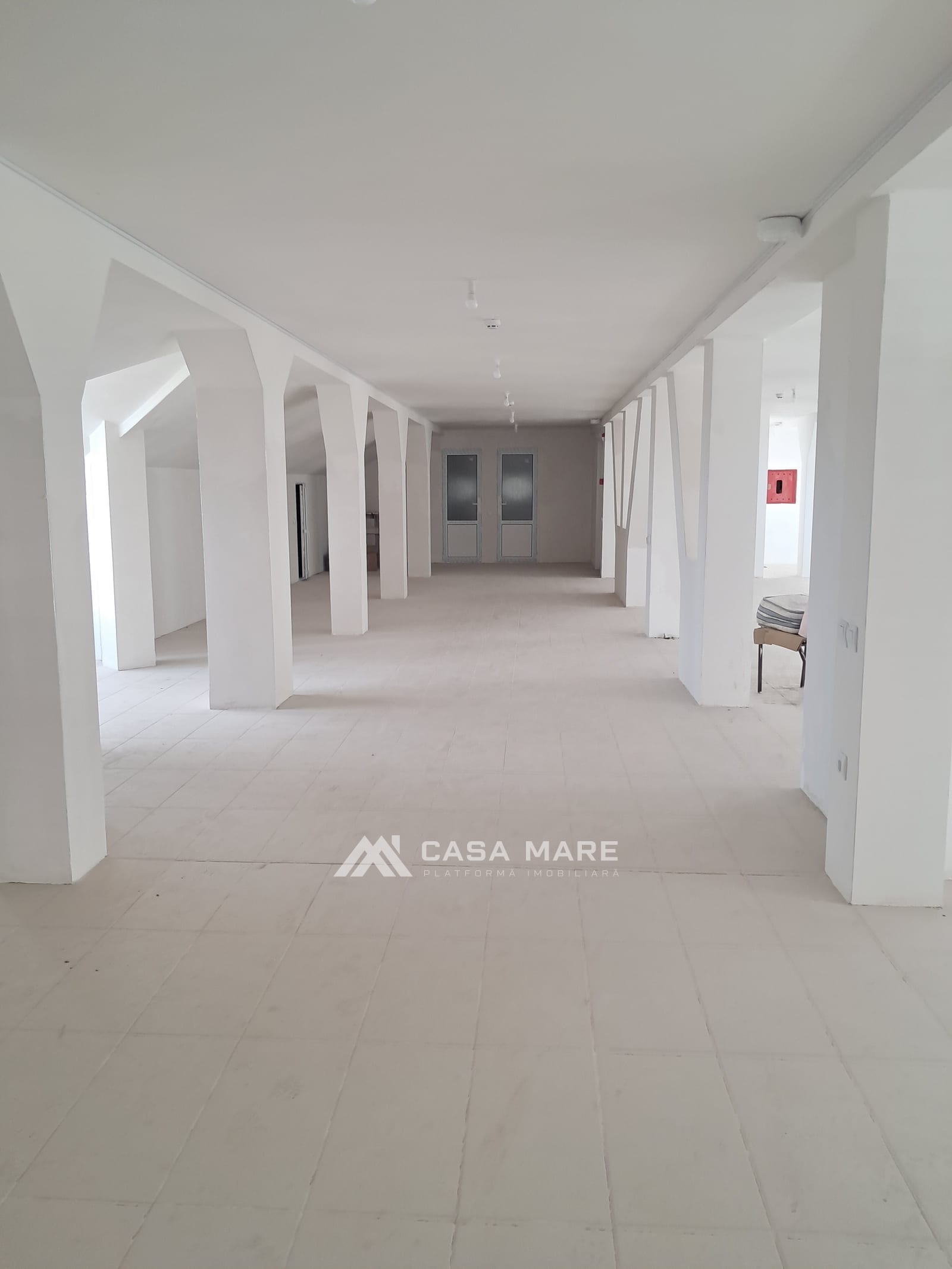 Коммерческое помещение, 3 500 м², Кагул 7