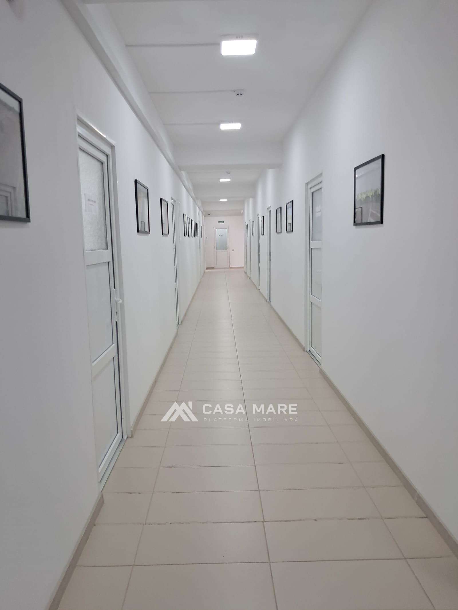 Spațiu comercial, 3 500 m², Cahul 6