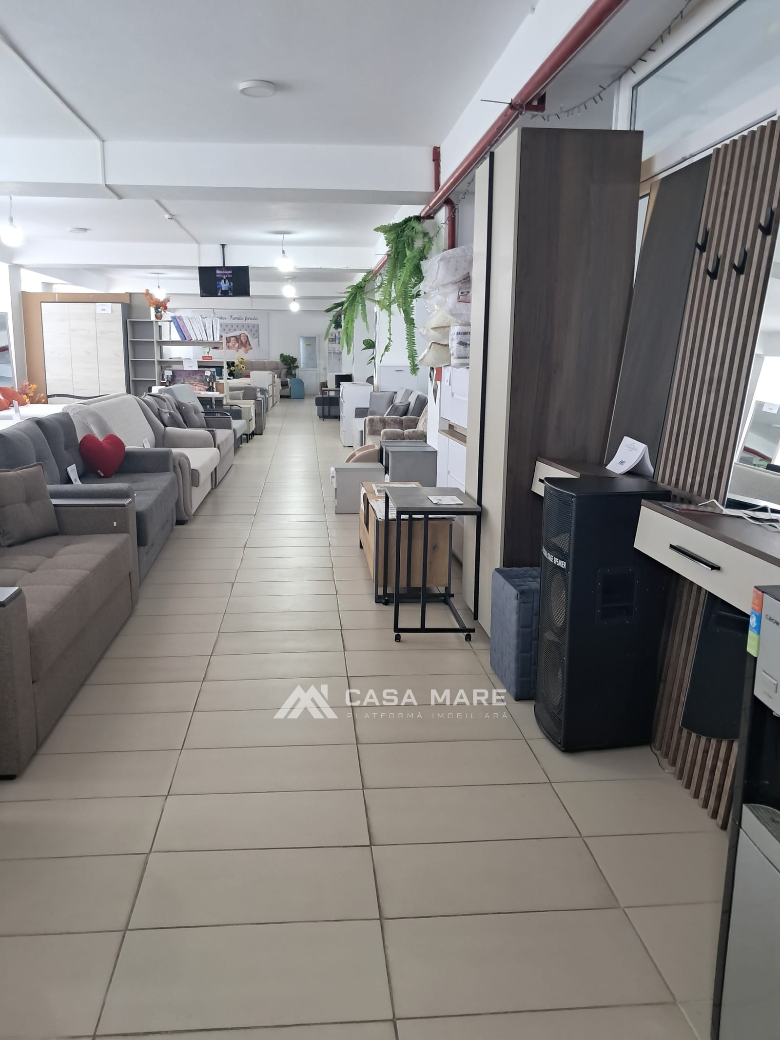 Коммерческое помещение, 3 500 м², Кагул 5
