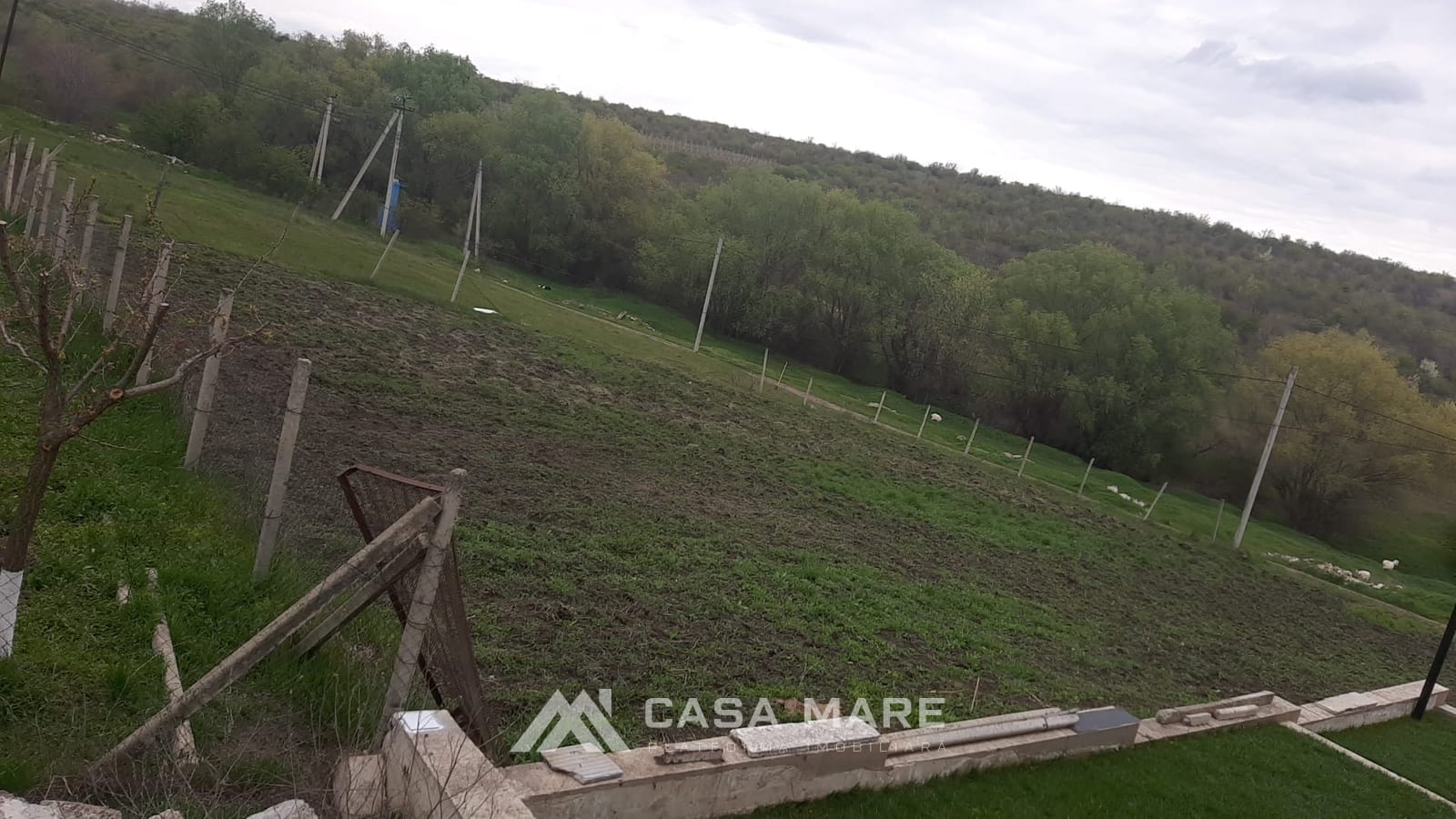 Teren, 10 ari, Budești 4