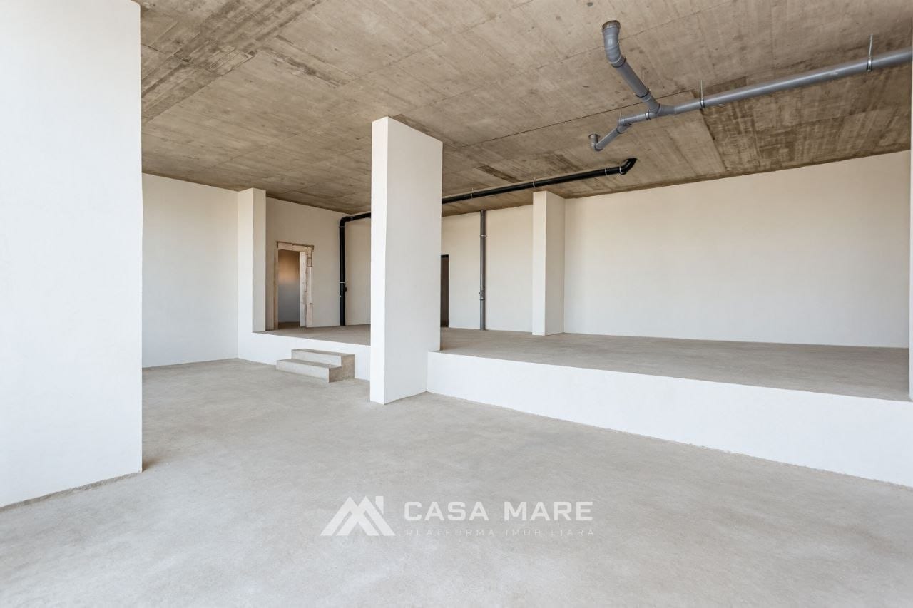 Spațiu comercial, 158 m², Codru 8