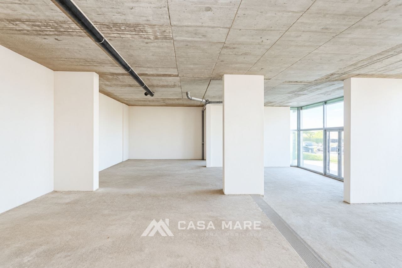 Коммерческое помещение, 158 м², Кодру 6