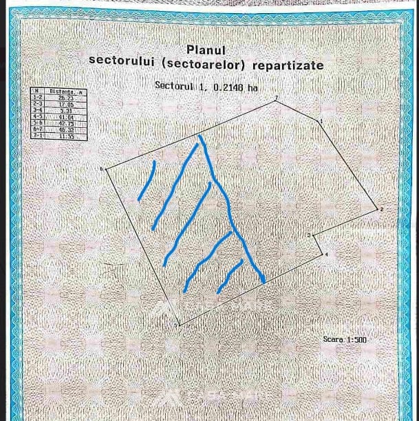 Teren, 12 ari, Ialoveni 4