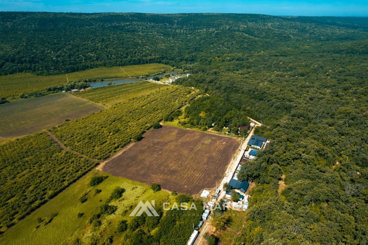 Spațiu comercial, 1 200 m², Periferie, Malcoci 3