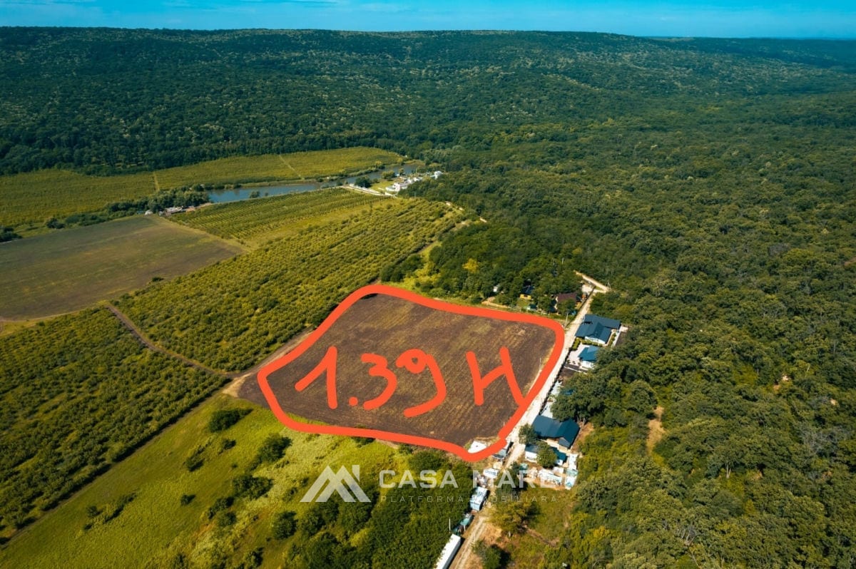 Spațiu comercial, 1 200 m², Periferie, Malcoci 10