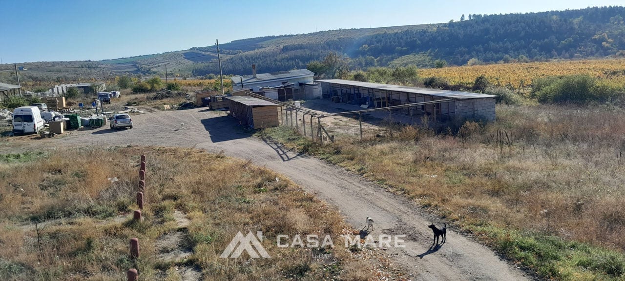 Коммерческое помещение, 5 000 м², Periferie, Кагул 3