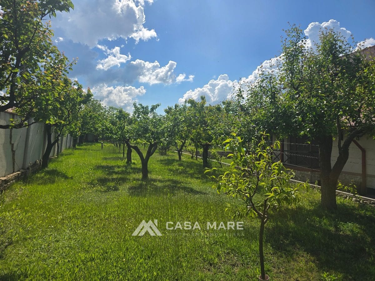 Casă cu 4 camere, 350 m², Goianul Nou 8