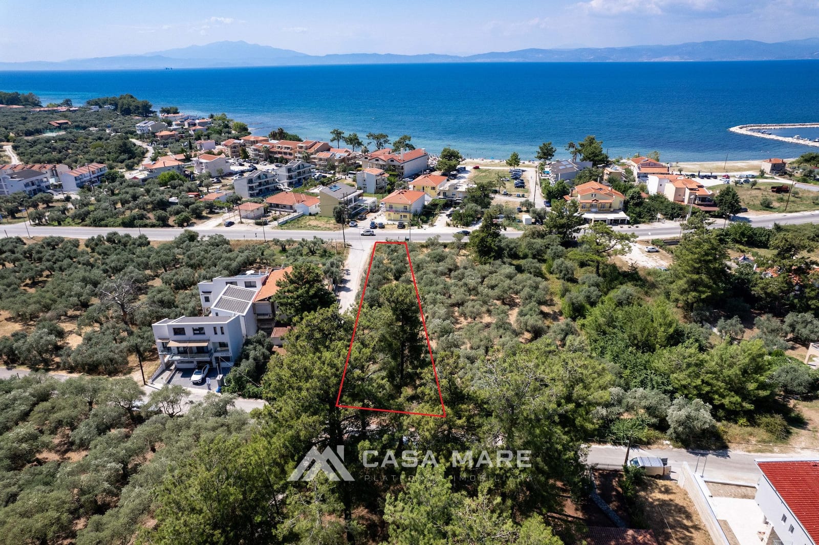 Callirhoe | Skala Rachoni, Thassos, Grecia 2