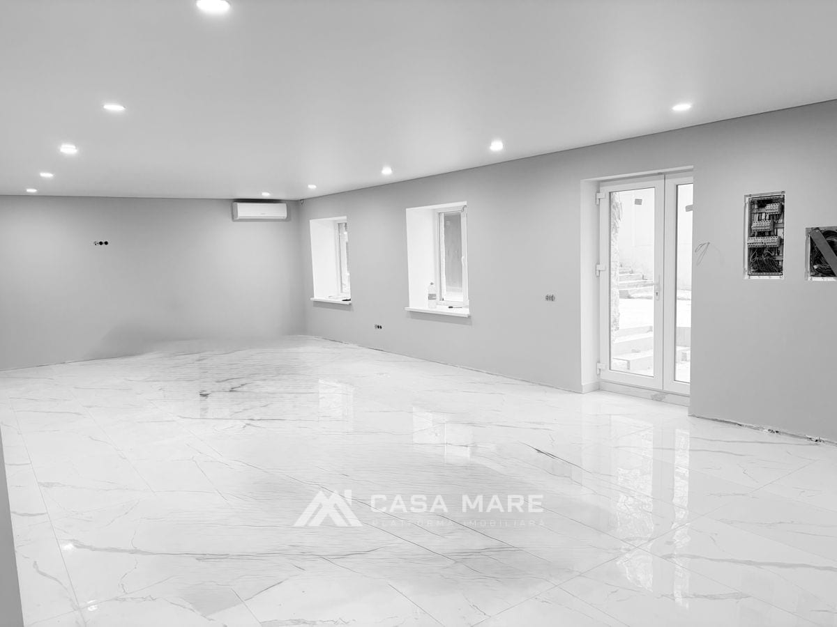 Коммерческое помещение, 170 м², Ботаника, Кишинёв 1