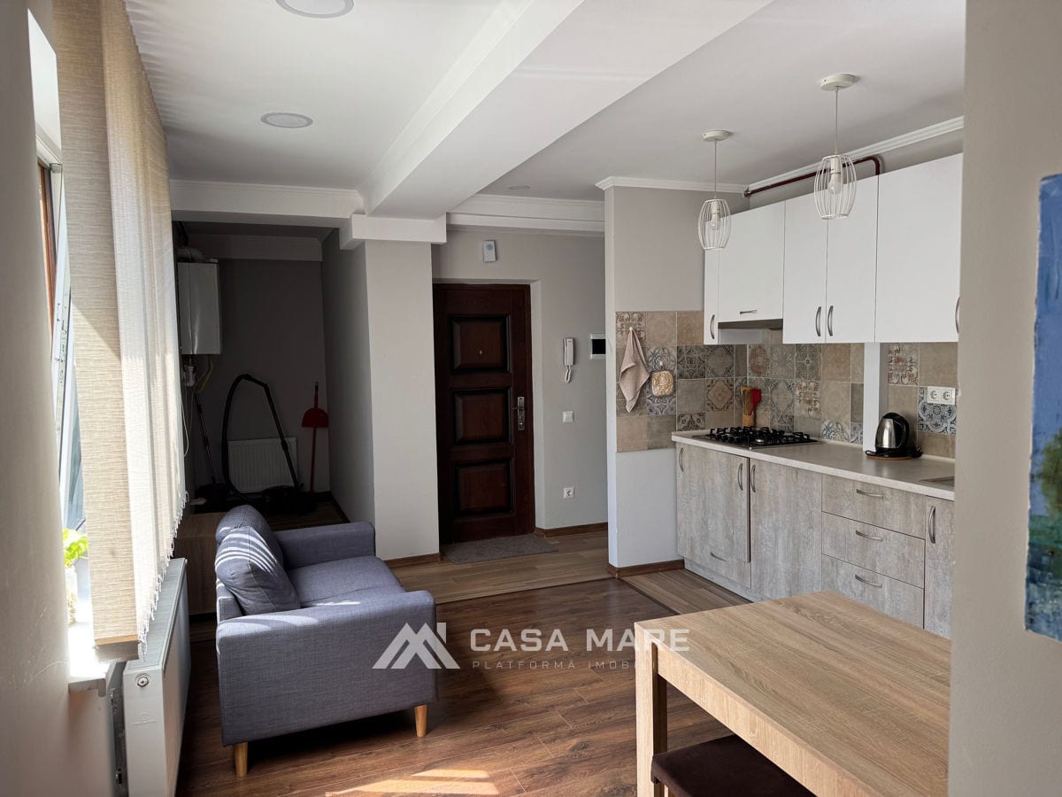 Apartament cu 1 cameră, 45 m², Centru, Chișinău 4