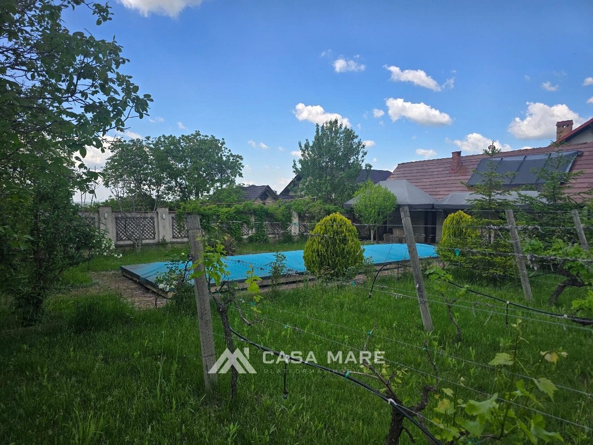 4-комнатный дом, 350 м², Гояну Ноу 7