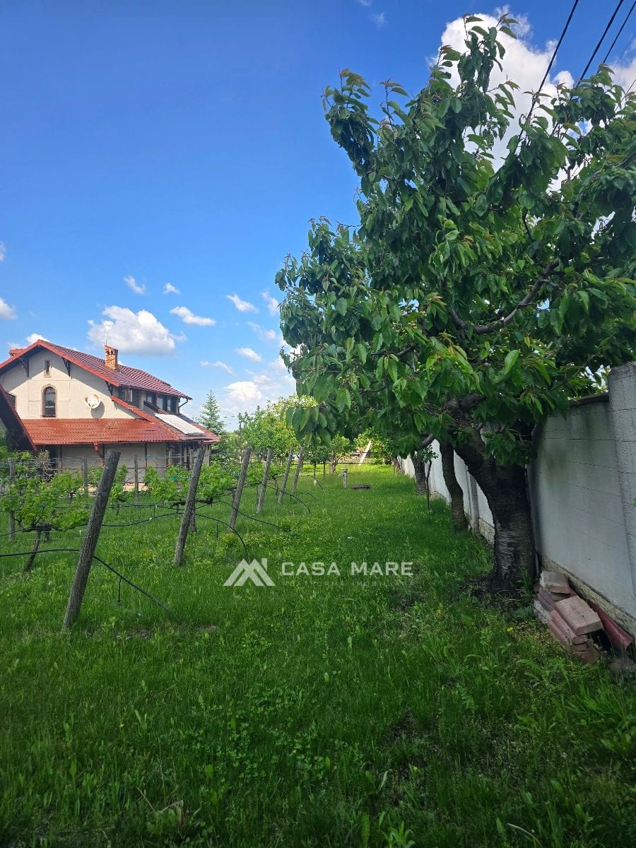 4-комнатный дом, 350 м², Гояну Ноу 9