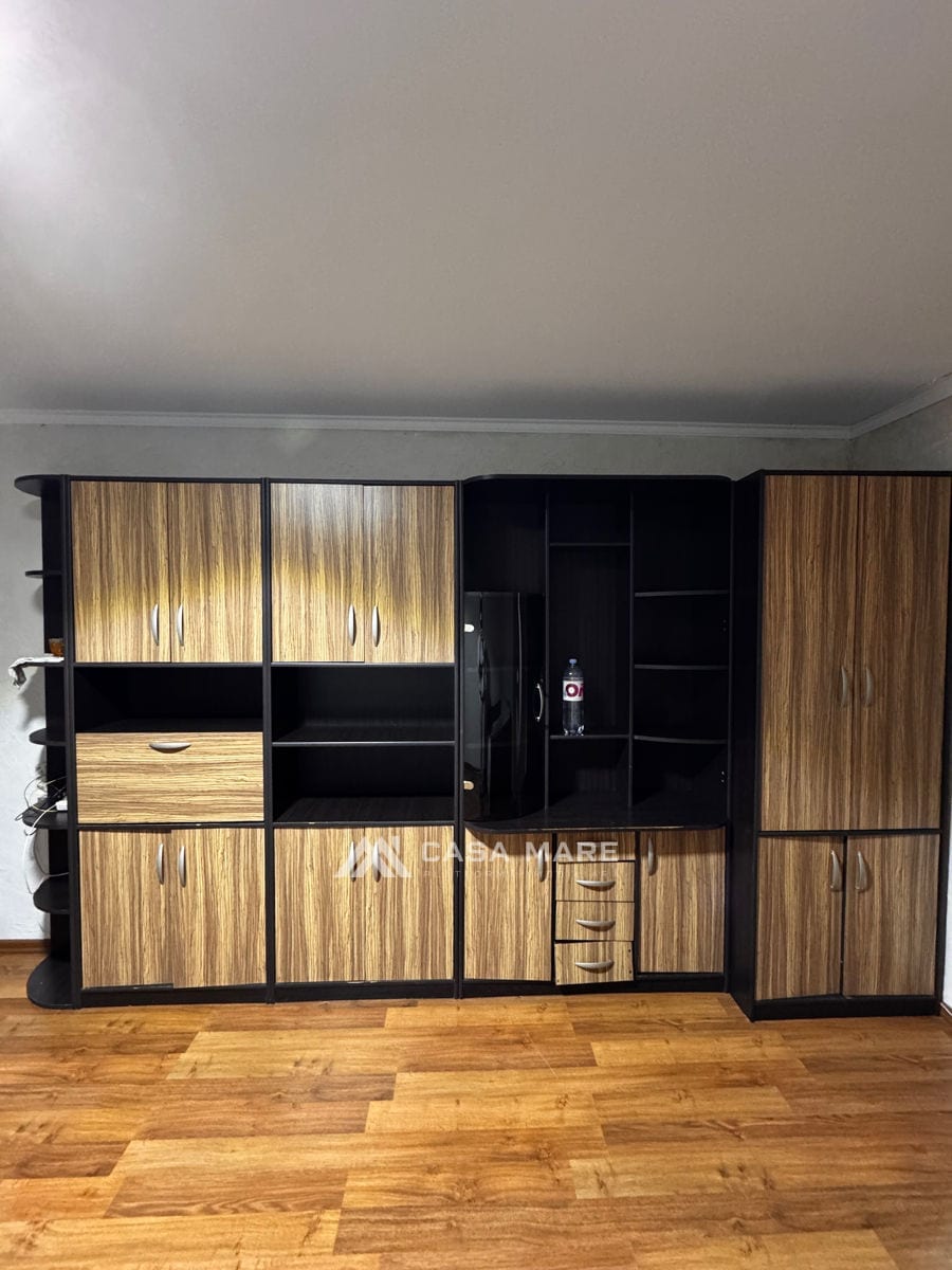 Apartament cu 1 cameră, 40 m², Ialoveni 3