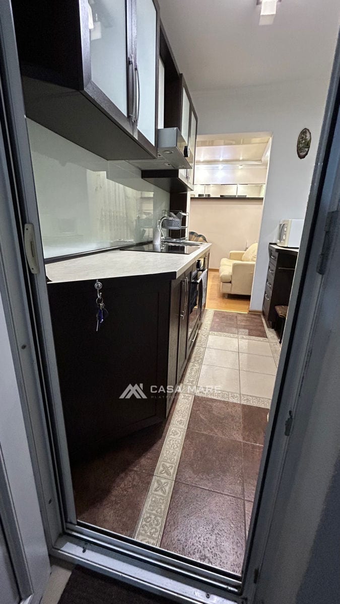 1-комнатная квартира, 29 м², Чеканы, Кишинёв 6