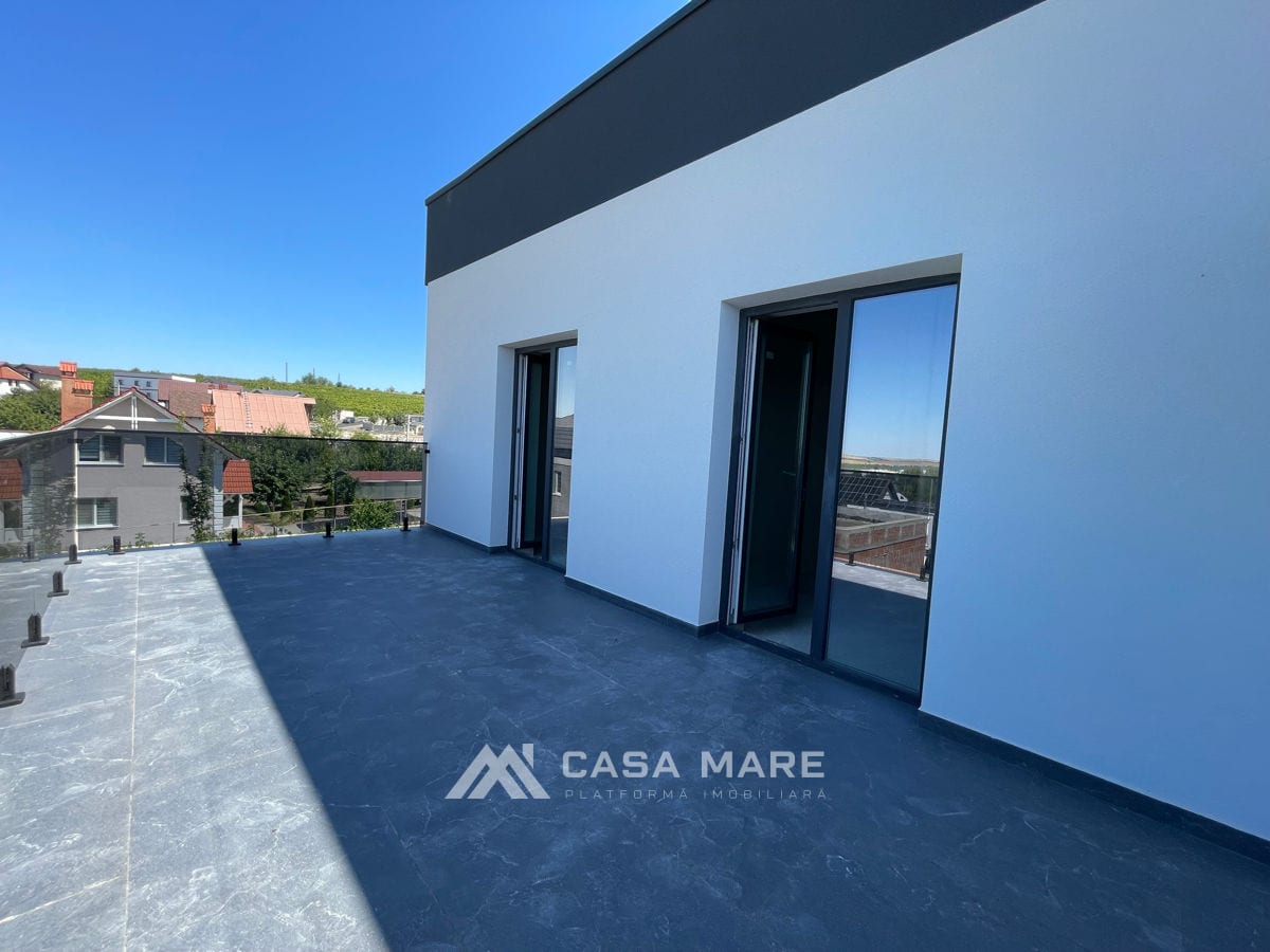 Casă cu 4 camere, 260 m², Cricova 10