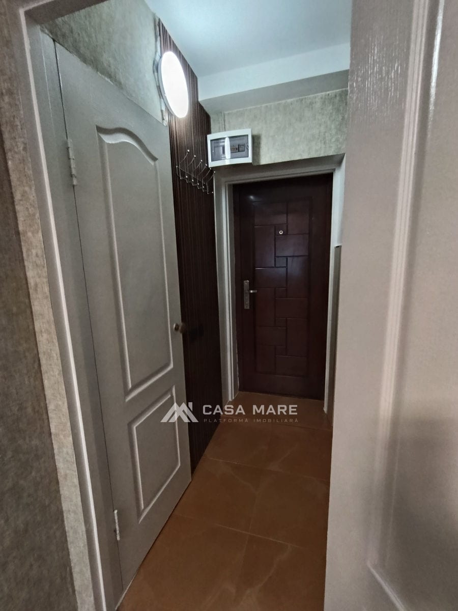 1-комнатная квартира, 20 м², Скулянка, Кишинёв 7