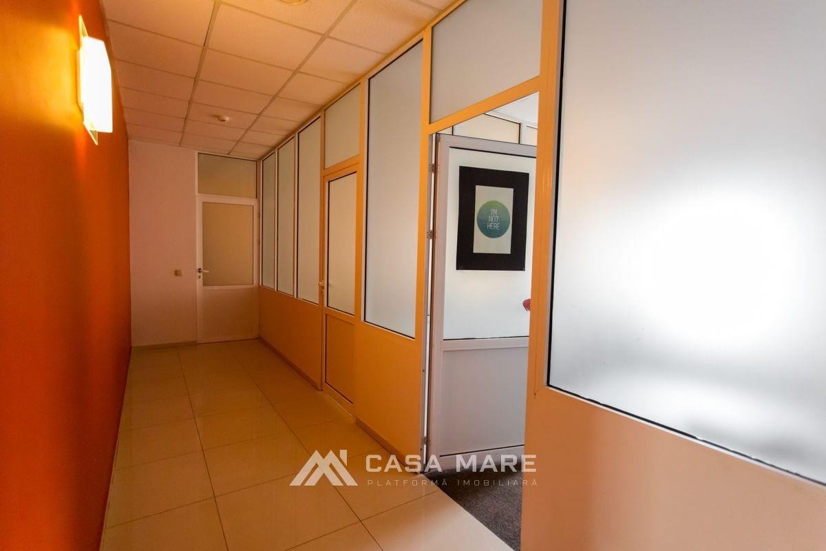 Casă cu 20 camere, 540 m², Codru 5