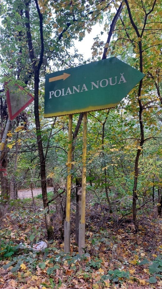 Teren, 6 ari, Dubăsari