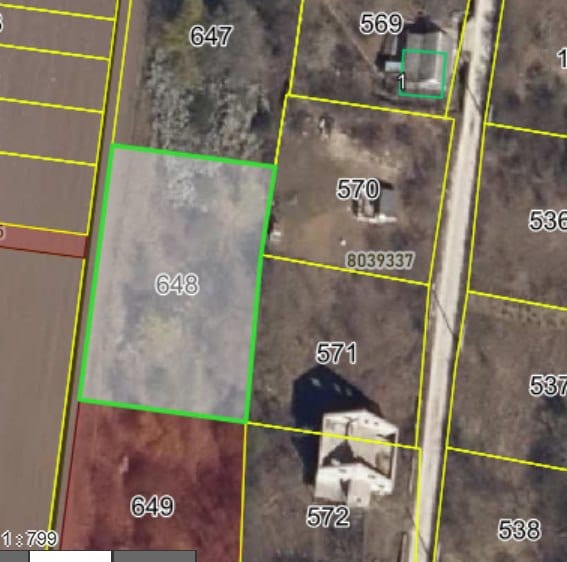 Teren, 10.3 ari, Trușeni