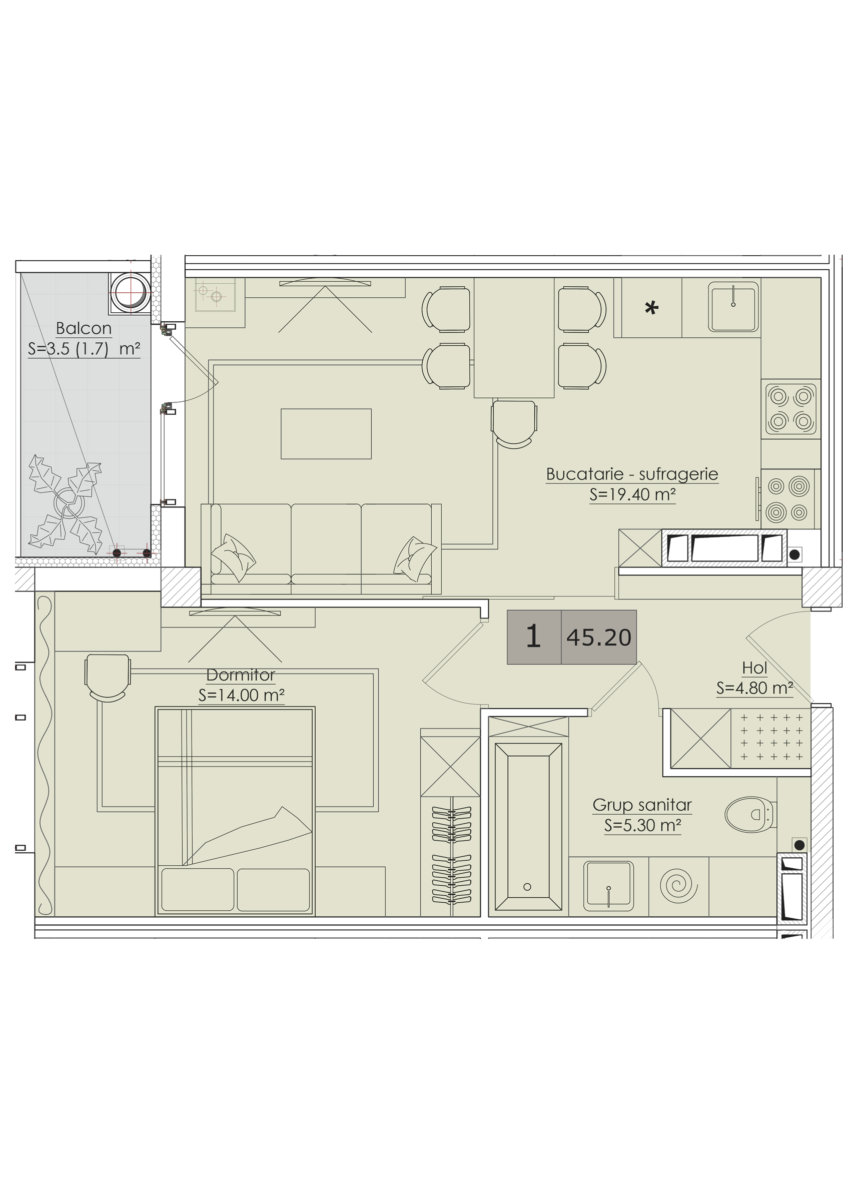 1 cameră 45 m²