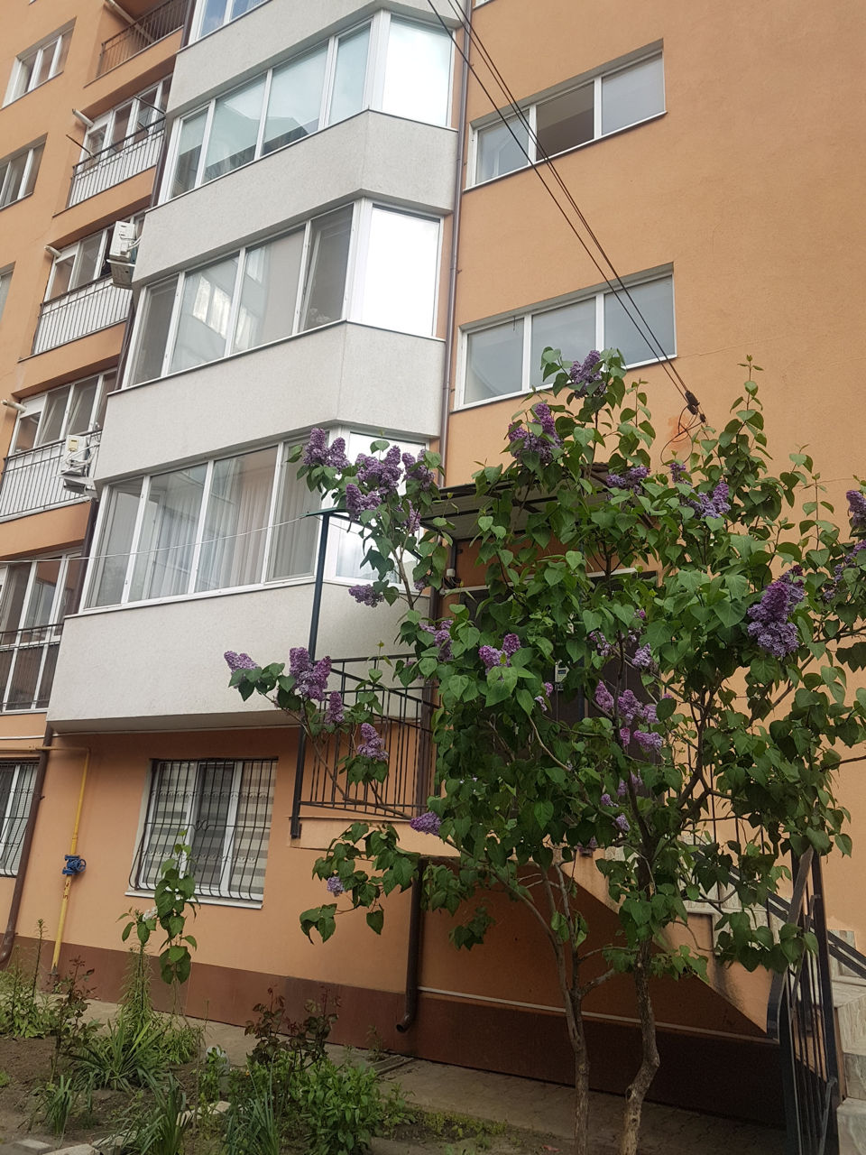 Apartament cu 1 cameră, 44 m², Botanica, Chișinău